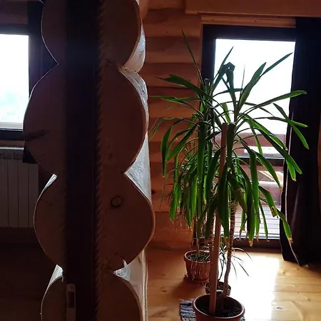 Cabana Vultur2 Strada Popeni Vatra Dornei